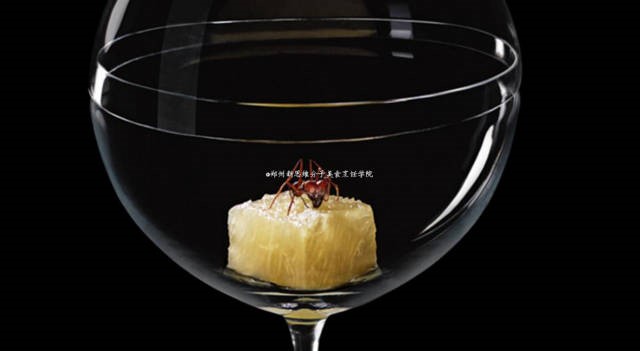 9fec2cc5ac687dcea91042c4b7221a14.jpg q2.jpg