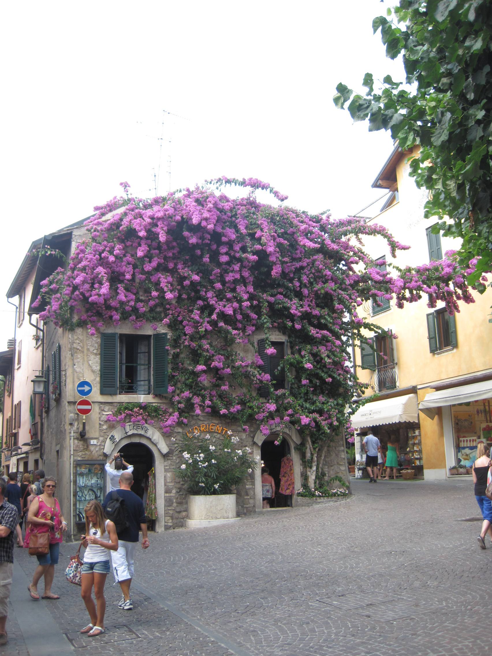 7d72dd4927be49bc4447e6f18ed08c73.jpeg 7d72dd4927be49bc4447e6f18ed08c73.jpeg