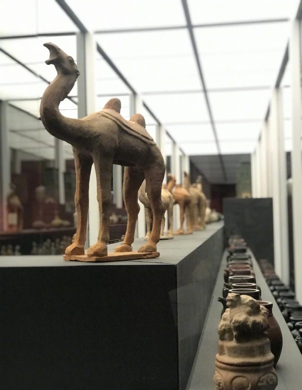 7064d7110e3e238453cc2fbefc9d5246.jpg 7064d7110e3e238453cc2fbefc9d5246.jpg