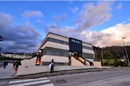 91cf51c50b76e5e33960e917ab6727f3.png d14.png