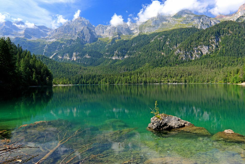 c773207e18cf12b72bda0d66bb05b144.jpg 2222222222222222.jpg