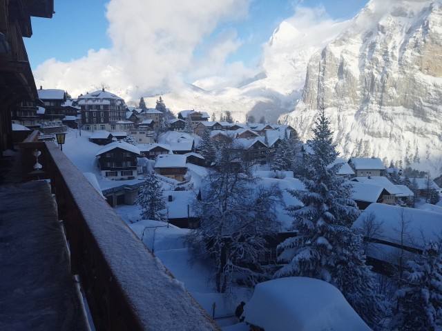 8ad38e7e3ac68caedae92f03f94b41a8.jpg 3333333333.jpg