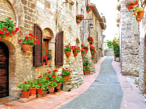 aae1290f922950200b3a22c46ac42f41.jpg 555.jpg