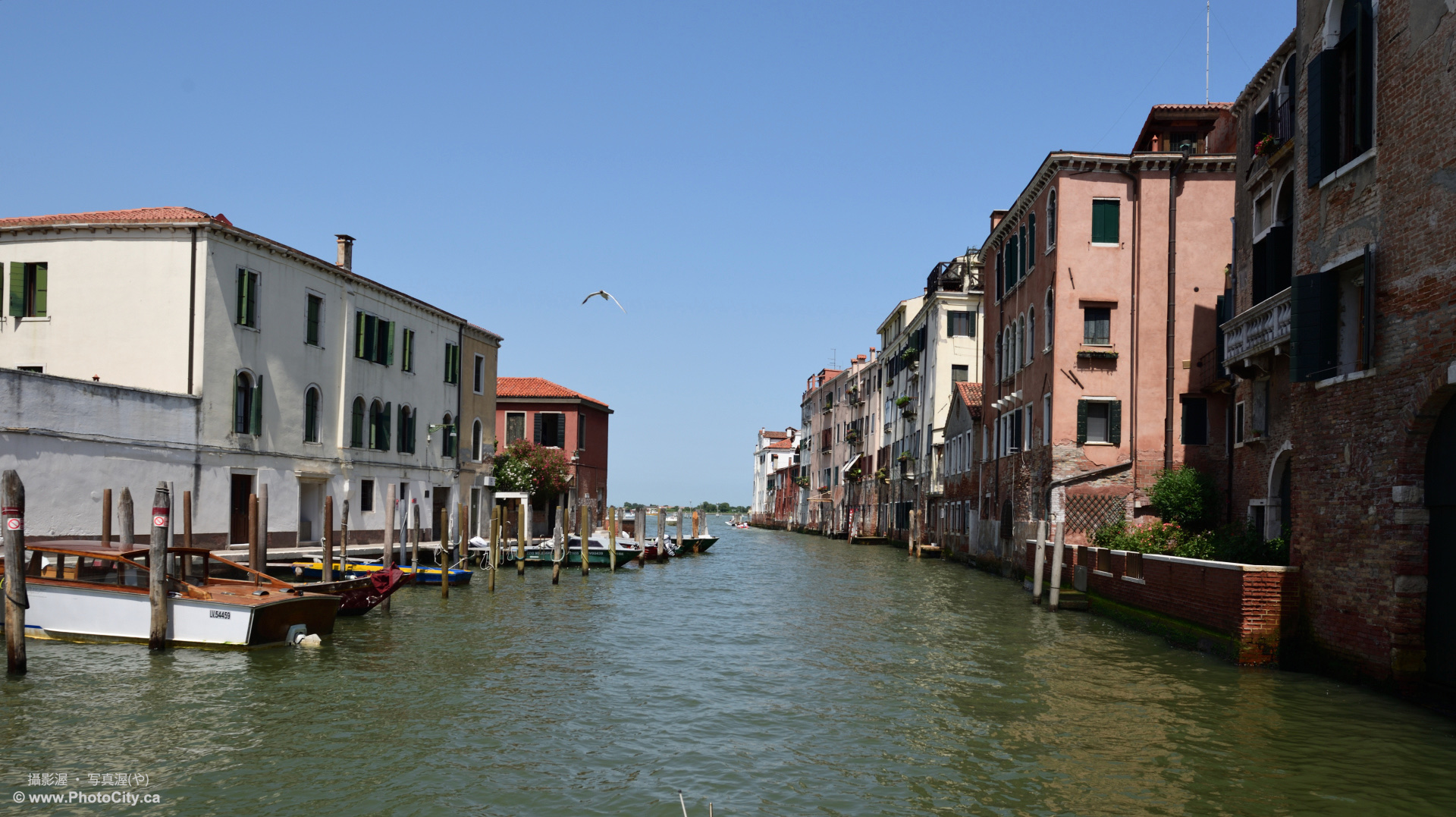 b83536db33ee245b3fcc983f1588122c.jpg 3333.jpg