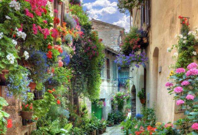 808c88dcecf1c86c2c5690caa146caf3.jpg 1111.jpg