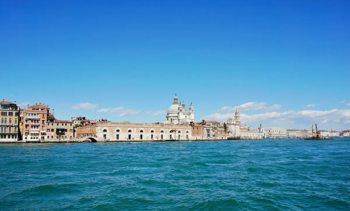 c0220fd43d0f3ebf0a50b3ed4882c045.png 1111111.png