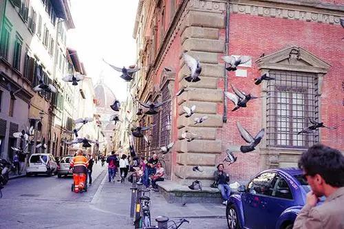 3da4b1aeb2546f6063506f66a87a34f0.png 3333333.png