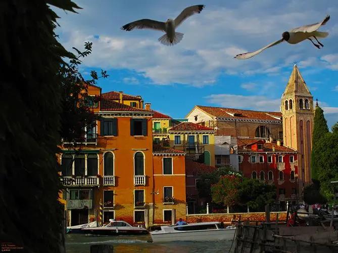 5b868774f25bc9a9504532257d3384e9.jpg 2222222.jpg