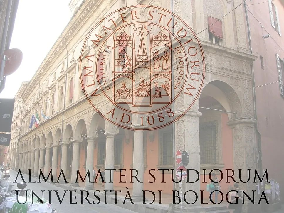 6c13baaaf779660fecd7e313736d8ffa.png 11111111.png