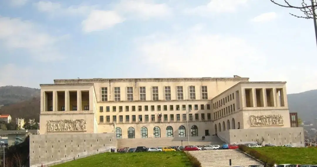 af9c36b1367a7efb559a9f5b34b1d10d.png 333333.png