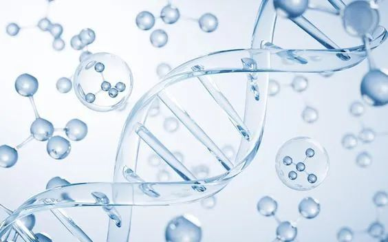 1220d23af15eeb9022cf722cae9ff447.png 2222222.png